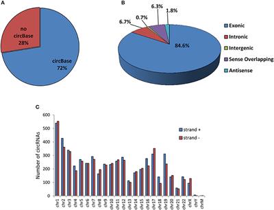 Expression Patterns of Circular RNAs in High Quality and Poor Quality Human Spermatozoa